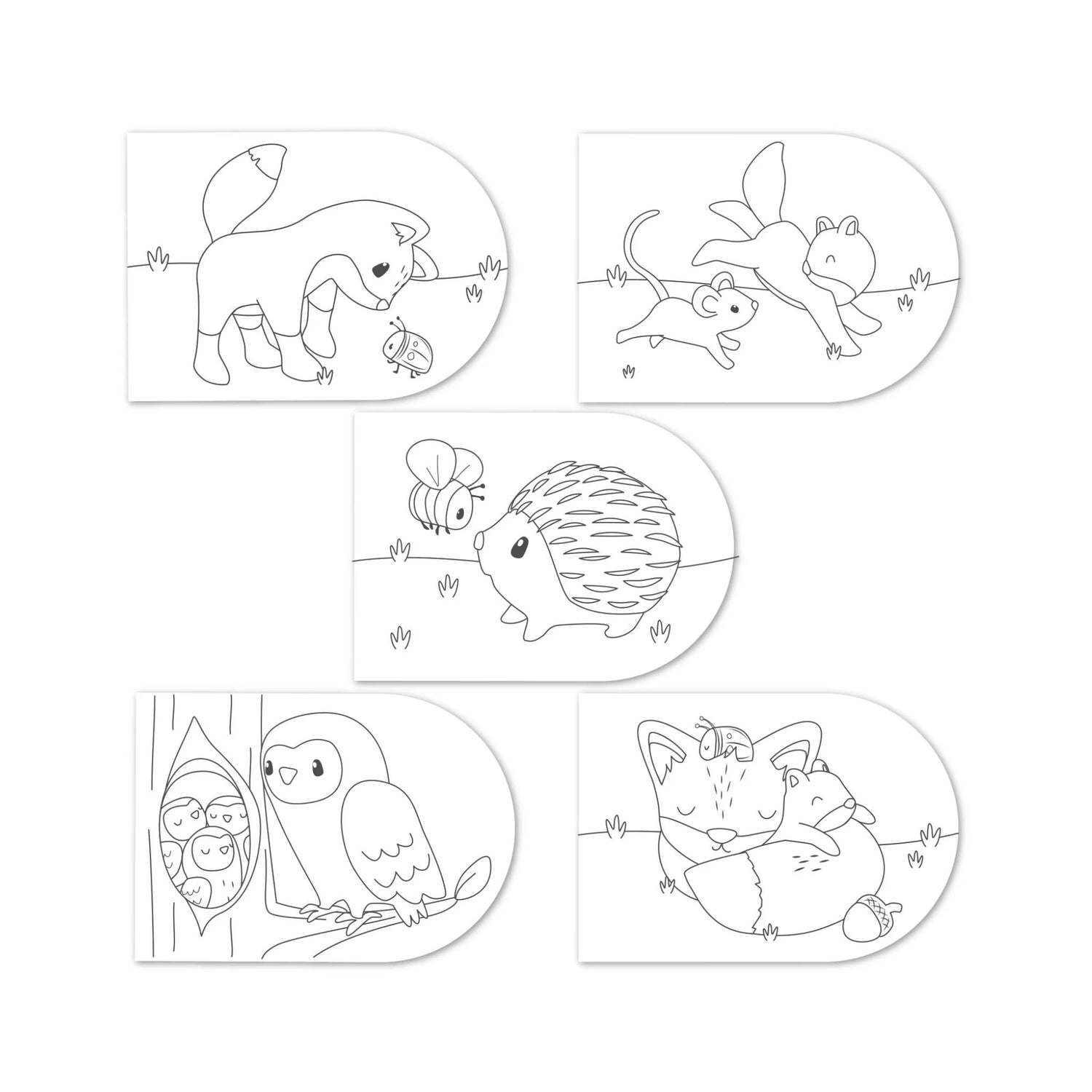 Forest Friends Paint Book