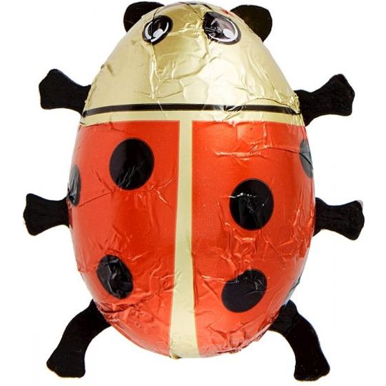 Milk Chocolate Ladybird