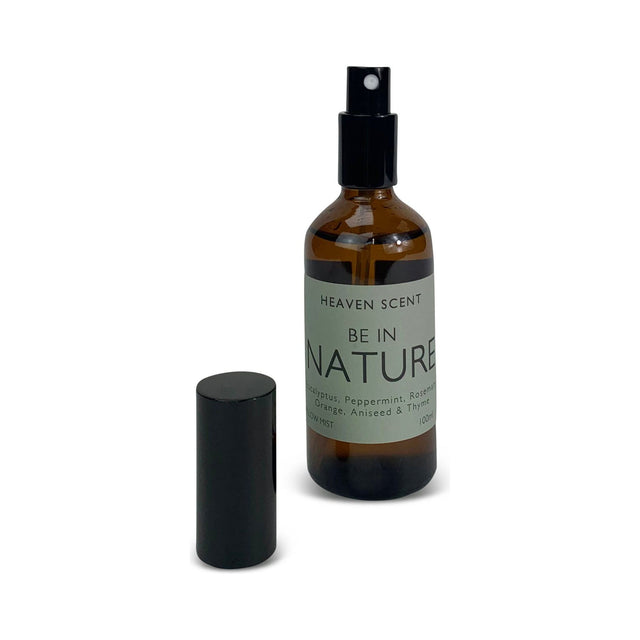 Be in Nature Room Spray