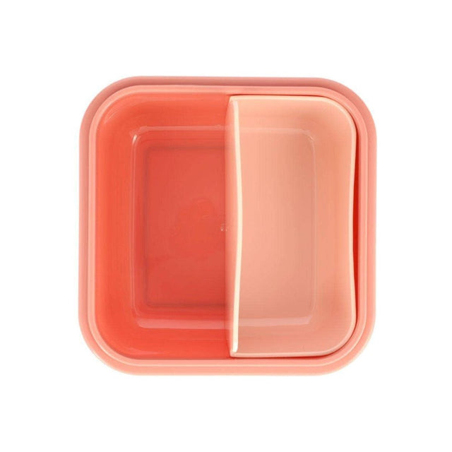 Wild Fairies Large Lunch Box