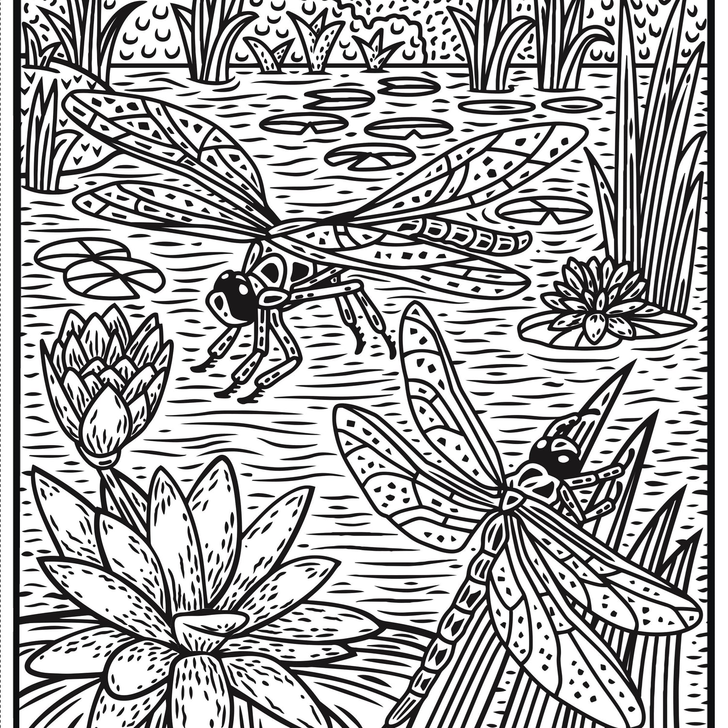 Magic Painting Book: Bugs
