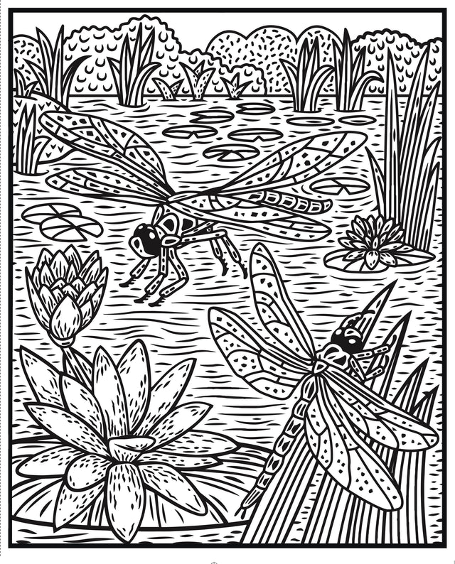 Magic Painting Book: Bugs