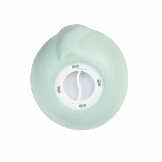 Cookie Cat Money Box