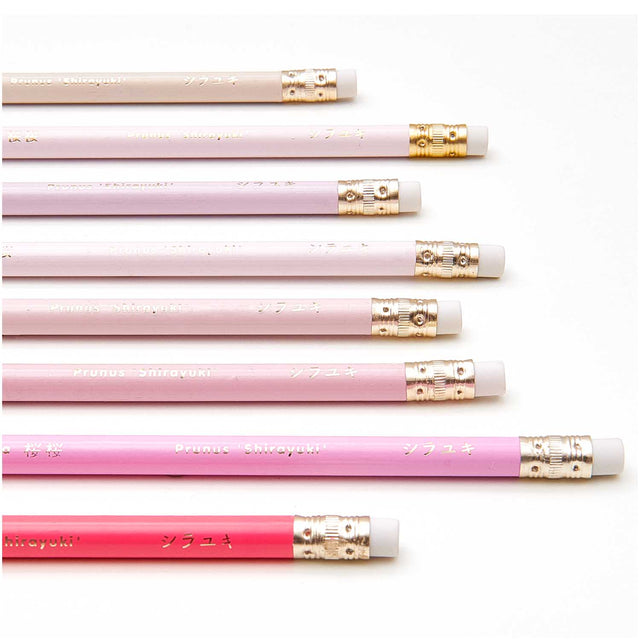 Pack Of Pink Pencils