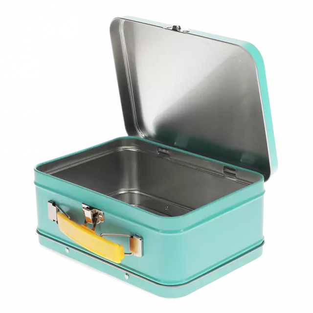 Dinosaur Tin Case