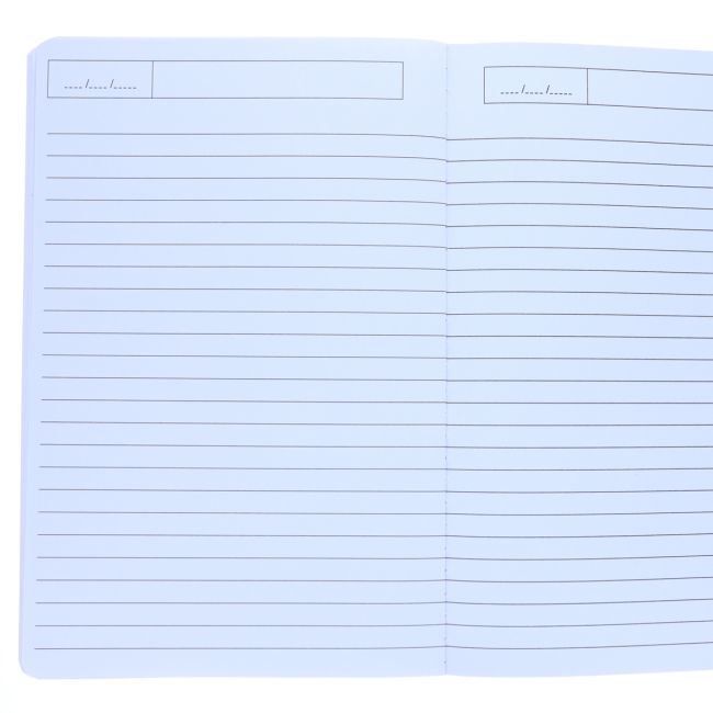 Large Multi Coloured Dinosaur Notebook