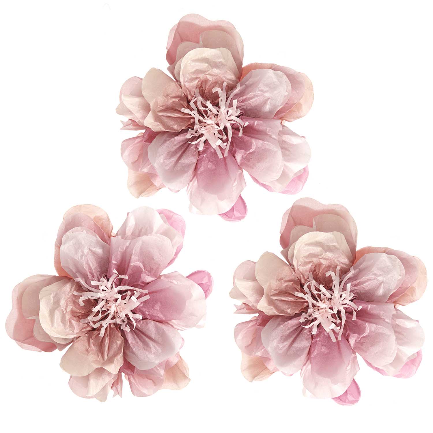 Wild Rose Tissue Paper Flower Decorations