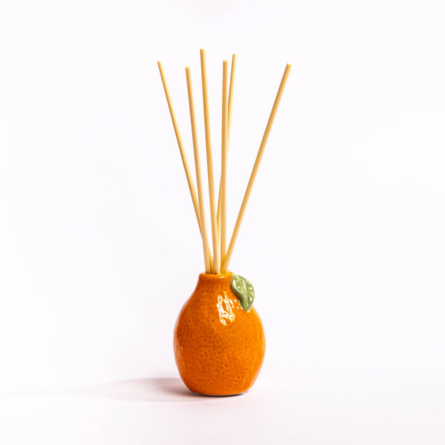 Orange Fruit Diffuser