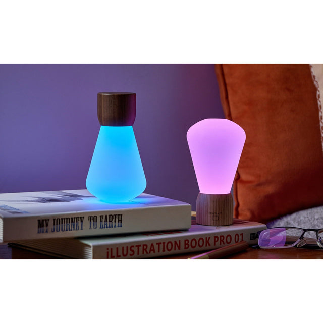 Mini Pentagon Desk Bulb White Ash