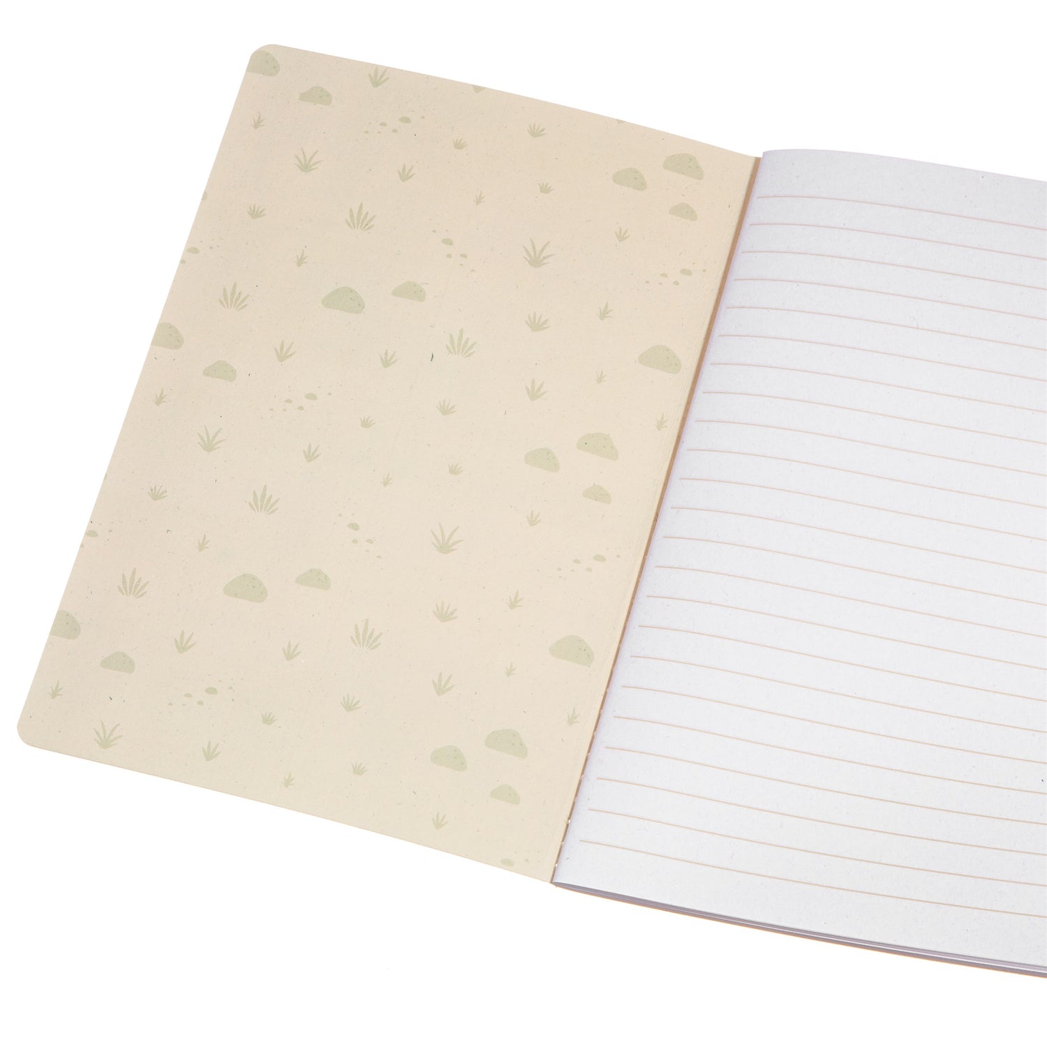 A5 Desert Dino Notebook