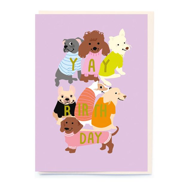 Dogs in Jumpers Birthday Card