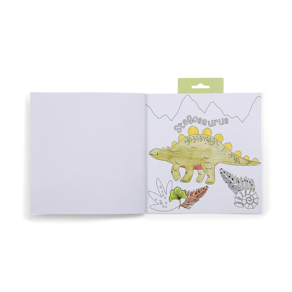 Dinosaur Colouring Book