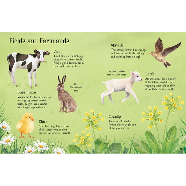 Usborne Minis: Things To Spot In Spring