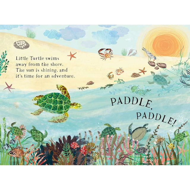 Little Turtles Book Of The Blue