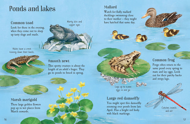 Usborne Minis: Things To Spot In Spring