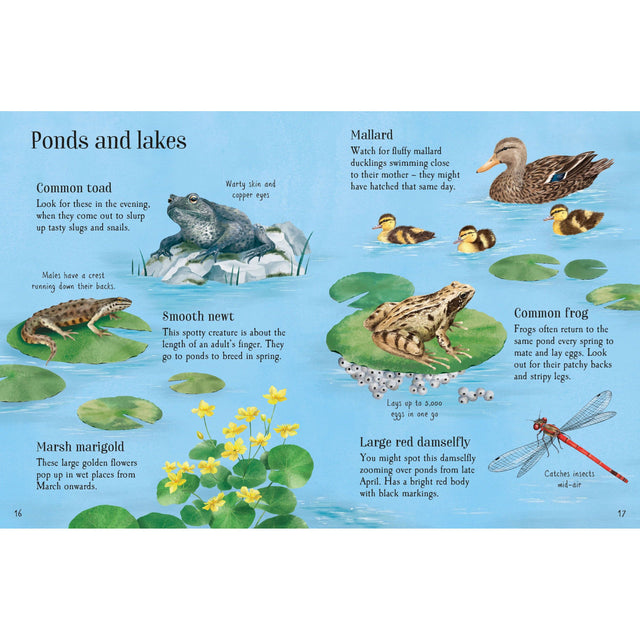 Usborne Minis: Things To Spot In Spring