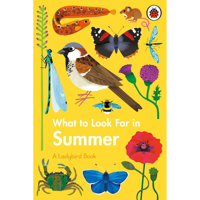 A Ladybird Book: What To Look For In Summer