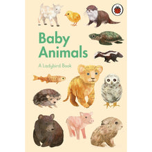 Load image into Gallery viewer, A Ladybird Book: Baby Animals