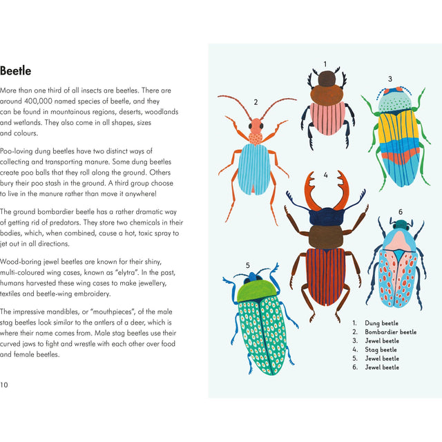 A Lady Bird Book: Insects And Mini Beasts