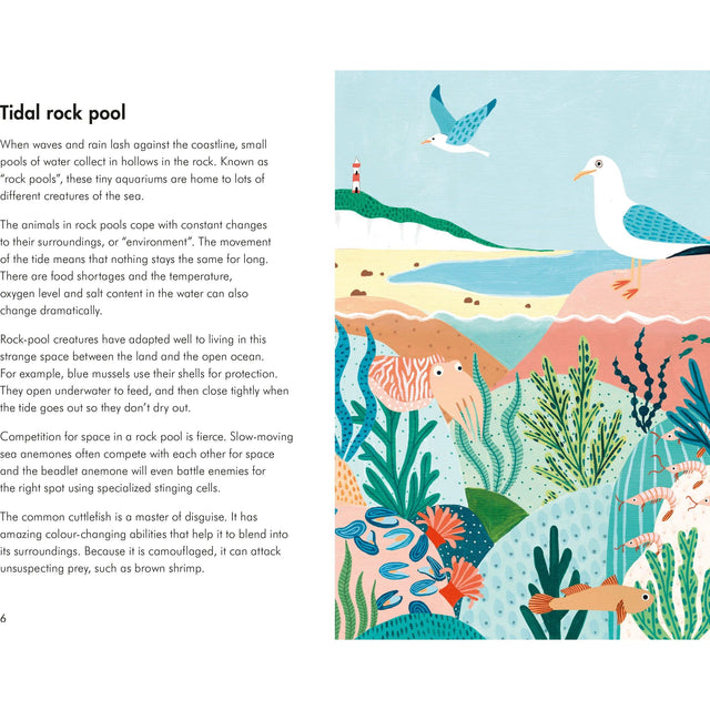 A Lady Bird Book: Sea Creatures