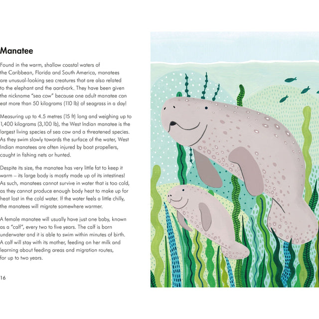 A Lady Bird Book: Sea Creatures