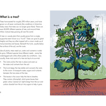 Load image into Gallery viewer, A Lady Bird Book: Trees