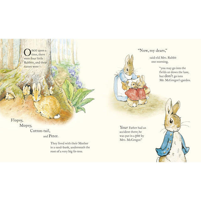 The Tale Of Peter Rabbit
