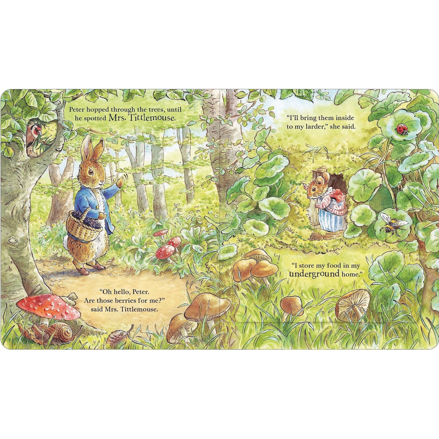 Peter Rabbit: Forest Homes A Peep Inside Tale