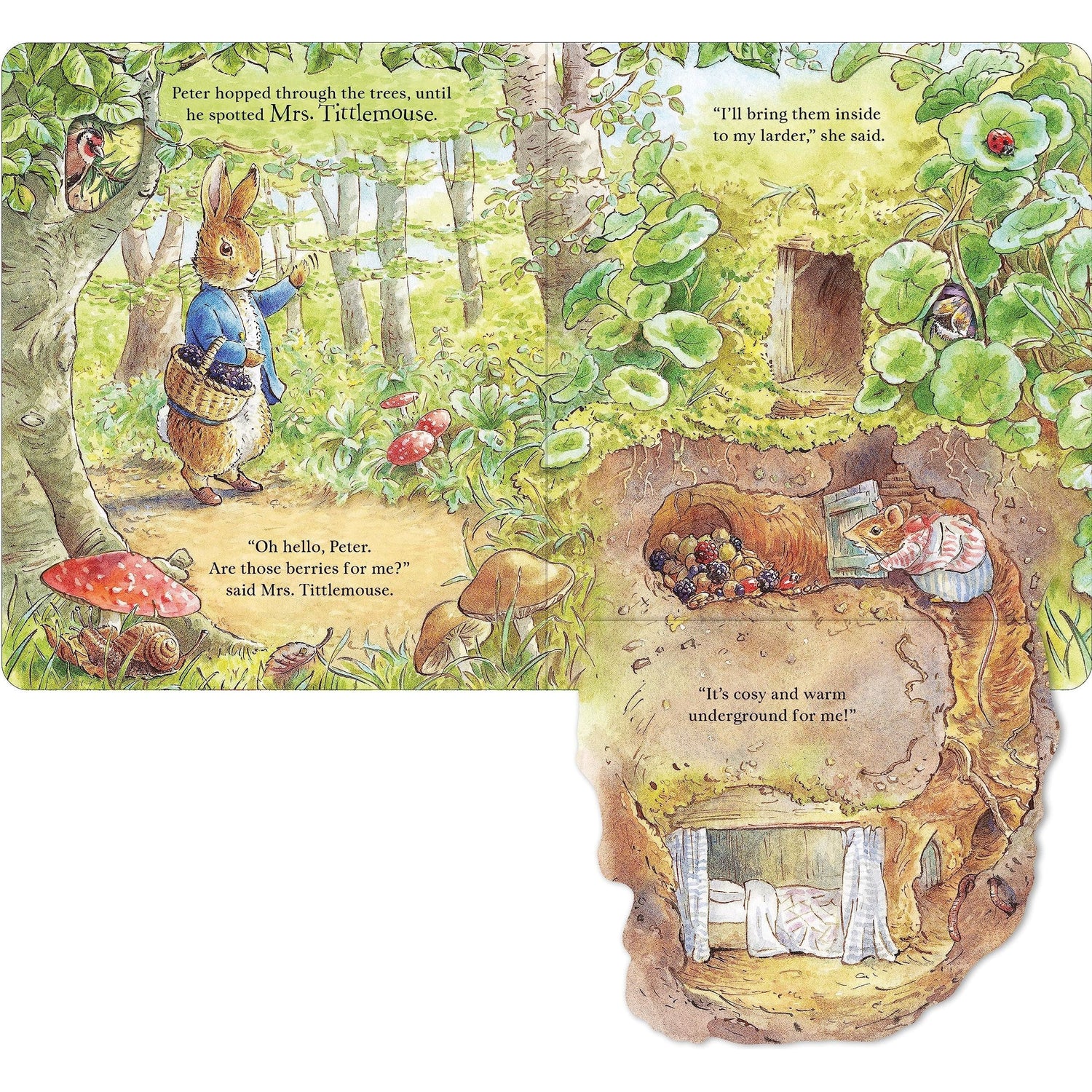 Peter Rabbit: Forest Homes A Peep Inside Tale