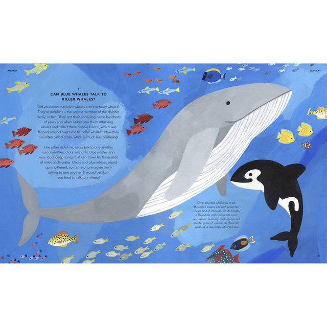 Everything Under The Sun