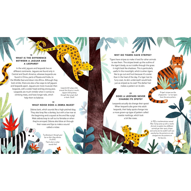 Everything Under The Sun