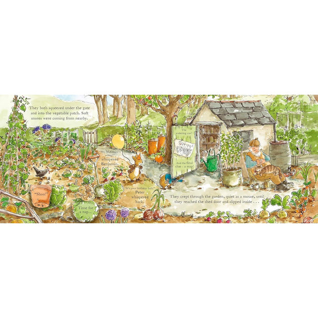 Peter Rabbit: The Birthday Present Hunt