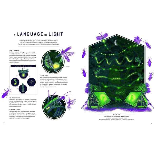 Glow: The Wild Wonders Of Bioluminescence