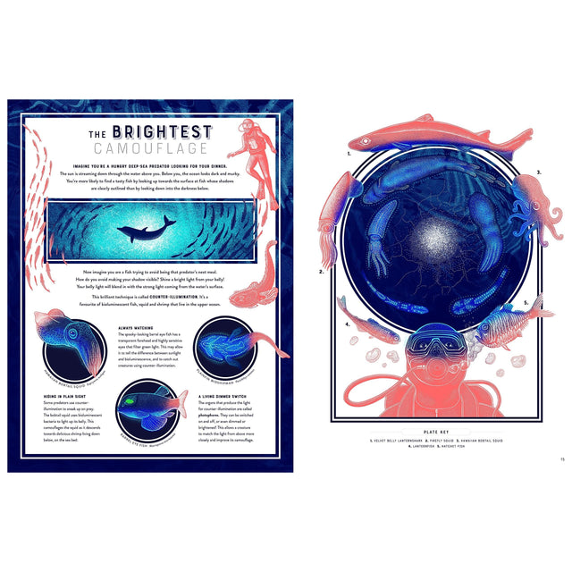 Glow: The Wild Wonders Of Bioluminescence