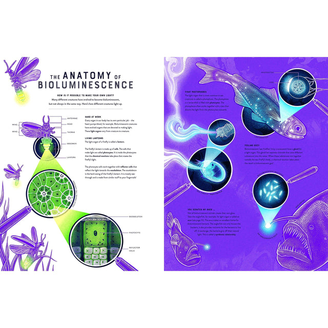 Glow: The Wild Wonders Of Bioluminescence