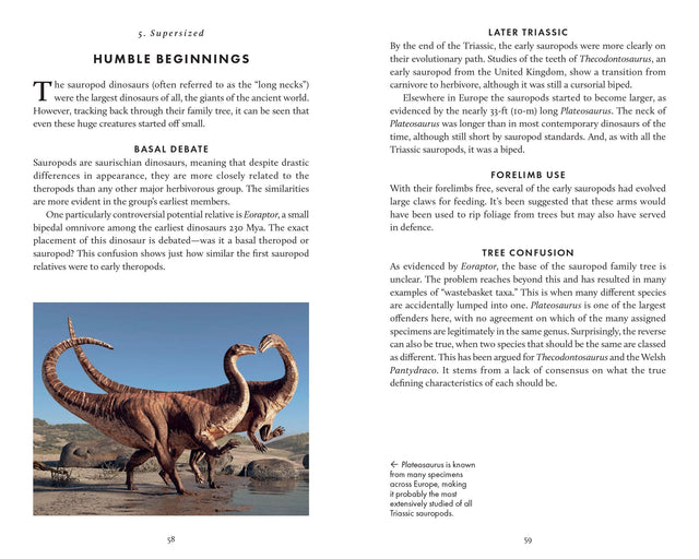 The Little Book Of Dinosaurs