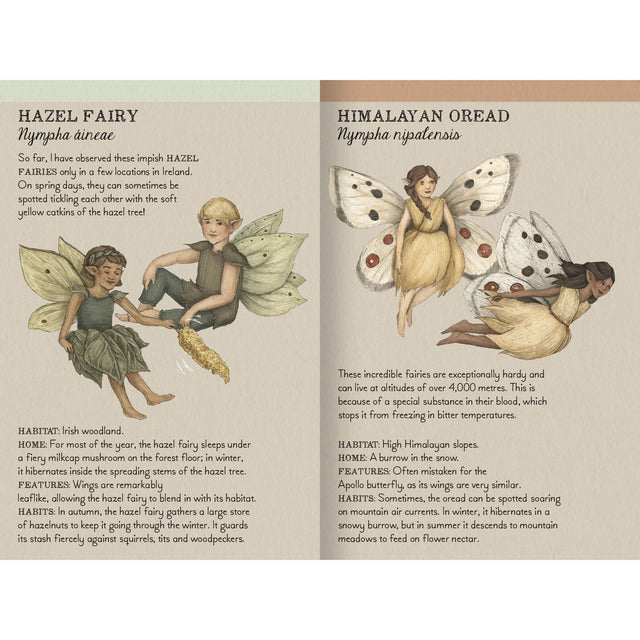 Find The Fairies Memory Game