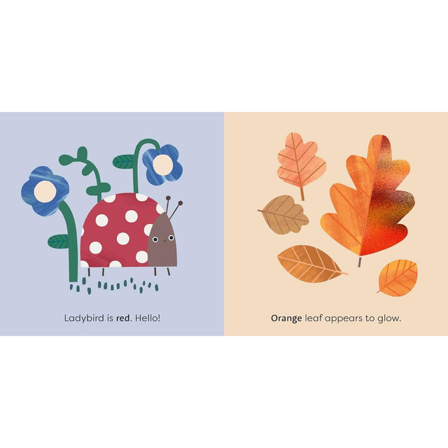 Mini Touch & Feel: Nature