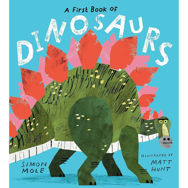 First Book Of Dinosaurs