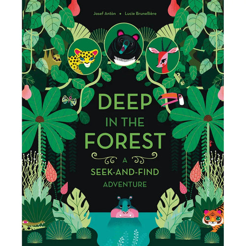 Deep in the Forest: A Seek-and-Find Book