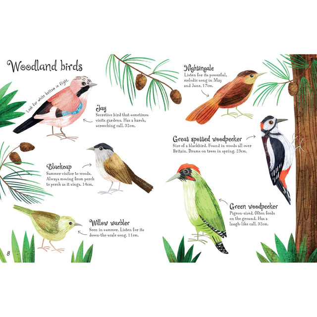 Usborne Minis: Birds To Spot