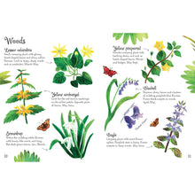 Load image into Gallery viewer, Usborne Minis: Flowers To Spot