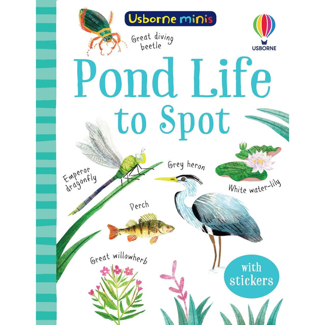 Usborne Minis: Pond Life To Spot