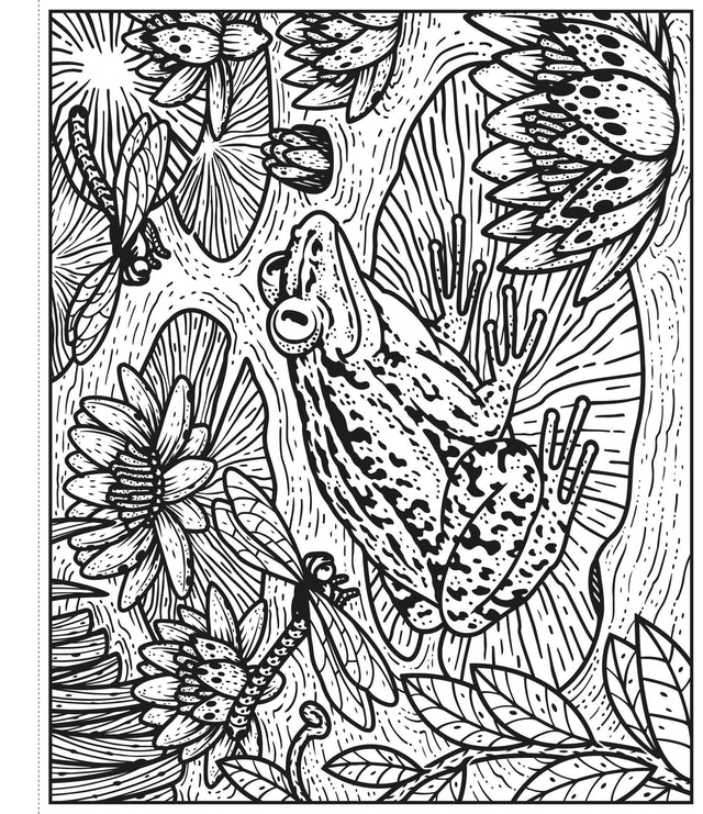 Magic Painting Book: Garden