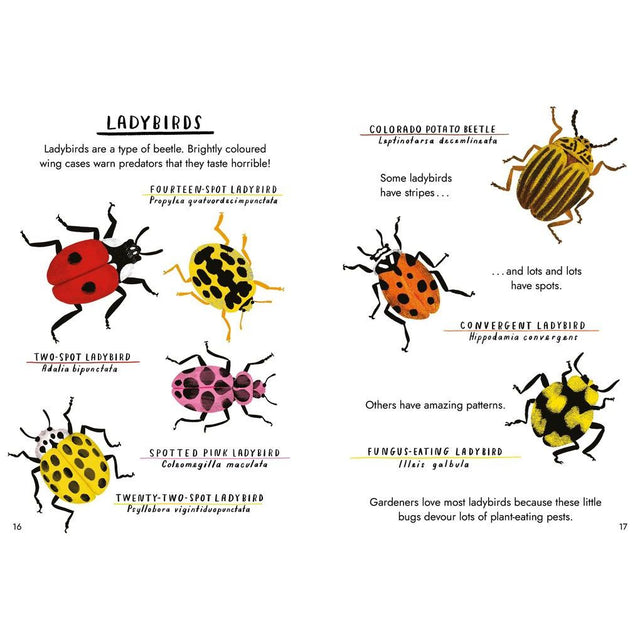Hello Bugs: A Little Guide To Nature