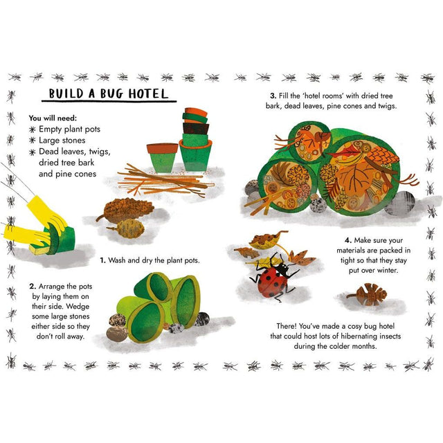 Hello Bugs: A Little Guide To Nature