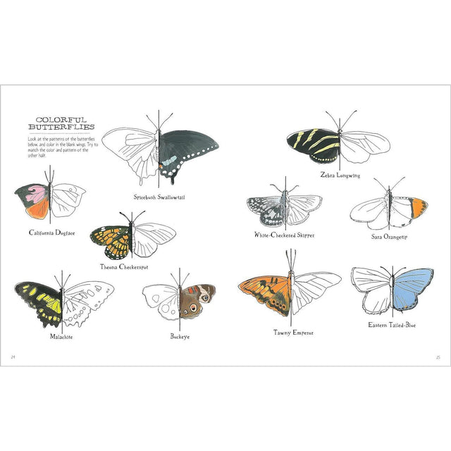 Nature Activity Anatomy Book