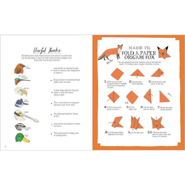 Nature Activity Anatomy Book