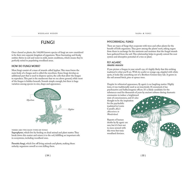 Woodland Wisdom: Facts Fiction Folklore