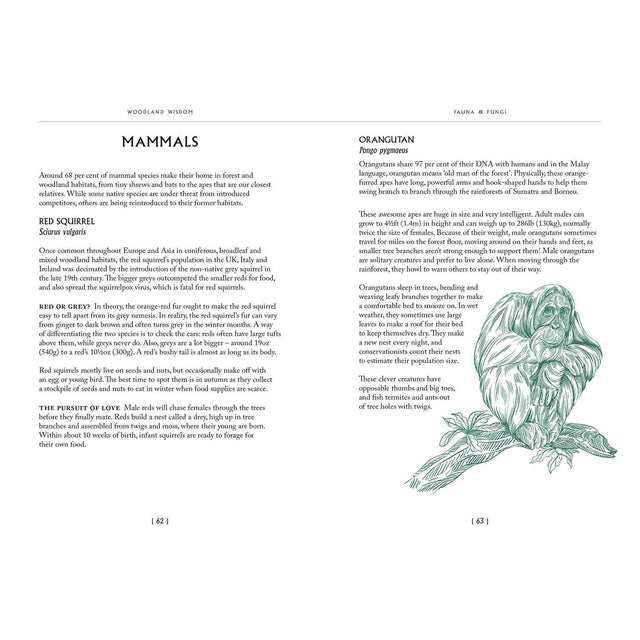 Woodland Wisdom: Facts Fiction Folklore